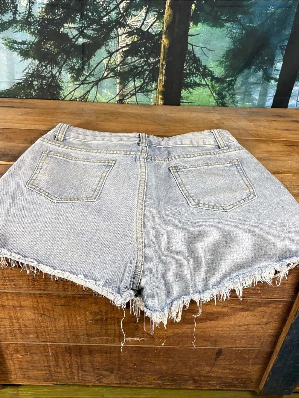 Shop Michelle Rhinestone Pearl Sequin Fringe Denim Shorts NWT